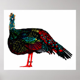 Ocelled Turkey Poster