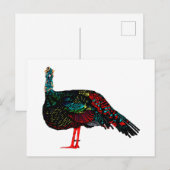 Ocelled Turkey Postkarte (Vorne/Hinten)