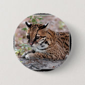 Ocelot 01 11x11 button (Vorderseite)