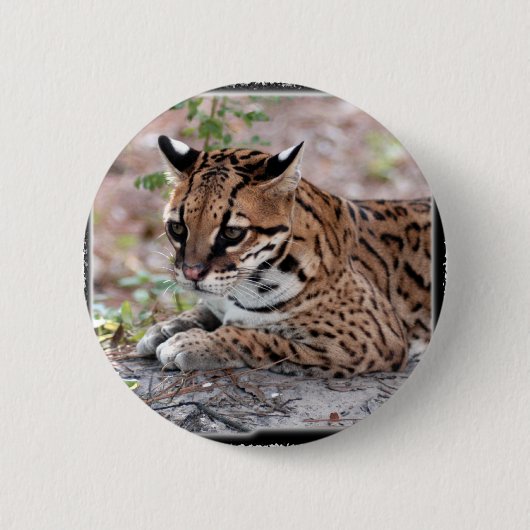 Ocelot 01 11x11 button (Vorderseite)