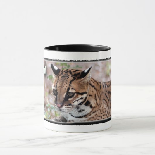 Ocelot 01 TASSE (Zentrum)