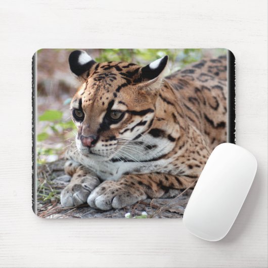 Ocelot 02 11x11 mousepad (Mit Mouse)