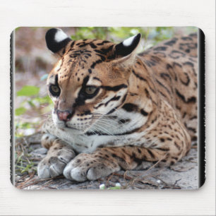 Ocelot 02 11x11 mousepad