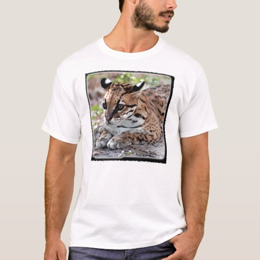 Ocelot 02 11x11 T-Shirt (Vorderseite)