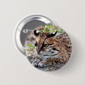 Ocelot 02 9x9 button (Vorne & Hinten)
