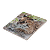 Ocelot 02 9x9 fliese (Seite)