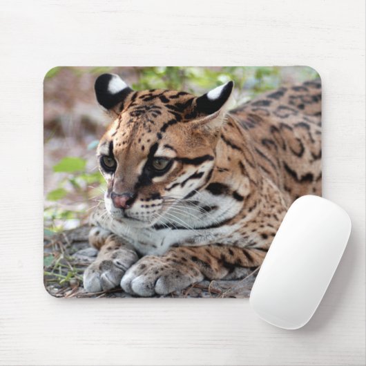 Ocelot 02 9x9 mousepad (Mit Mouse)