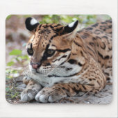 Ocelot 02 9x9 mousepad (Vorne)