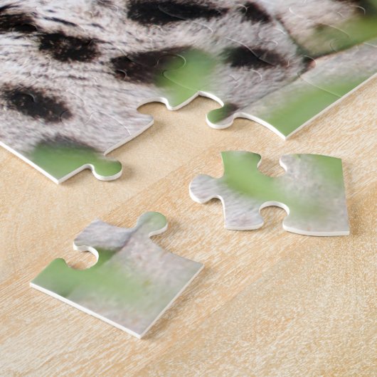 Ocelot Closeup Puzzle (Seite)