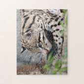 Ocelot Closeup Puzzle (Vertikal)