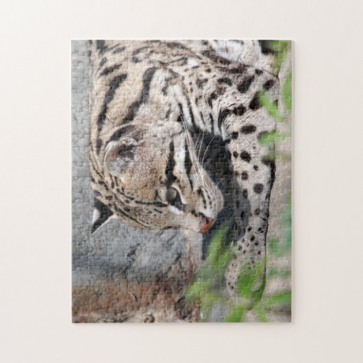 Ocelot Closeup Puzzle (Vertikal)