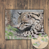 Ocelot Closeup Puzzle