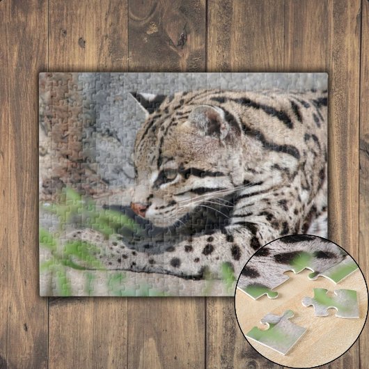 Ocelot Closeup Puzzle