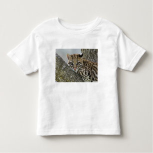 Ocelot, Felis pardalis, gefangen, weiblich ruhen 2 Kleinkind T-shirt