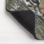 Ocelot, Felis pardalis, gefangen, weiblich ruhen 2 Mousepad (Ecke)