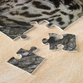 Ocelot, Felis pardalis, gefangen, weiblich ruhen 2 Puzzle (Seite)