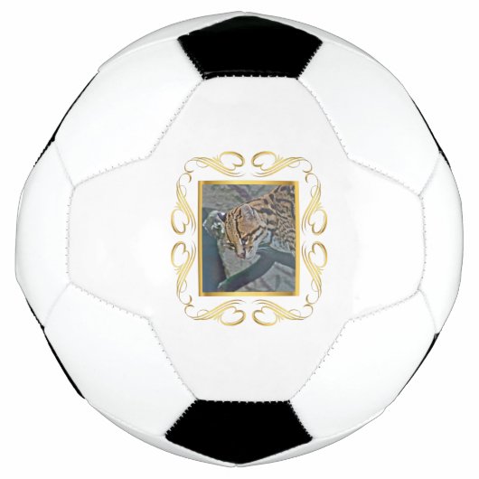 Ocelot Gerahmt Fußball (Vorderseite)