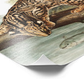 Ocelot, Leopard Cat (Felis pardalis) Illustration Fotodruck (Ecke)