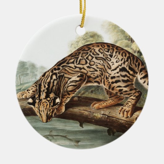 Ocelot, Leopard Cat (Felis pardalis) Illustration Keramik Ornament (Vorne)