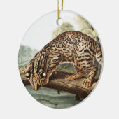 Ocelot, Leopard Cat (Felis pardalis) Illustration Keramik Ornament (Links)