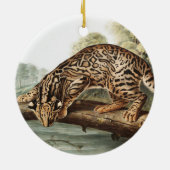 Ocelot, Leopard Cat (Felis pardalis) Illustration Keramik Ornament (Hinten)