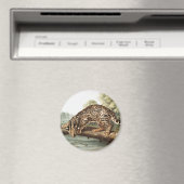 Ocelot, Leopard Cat (Felis pardalis) Illustration Magnet (In Situ (Geschirrspüler))