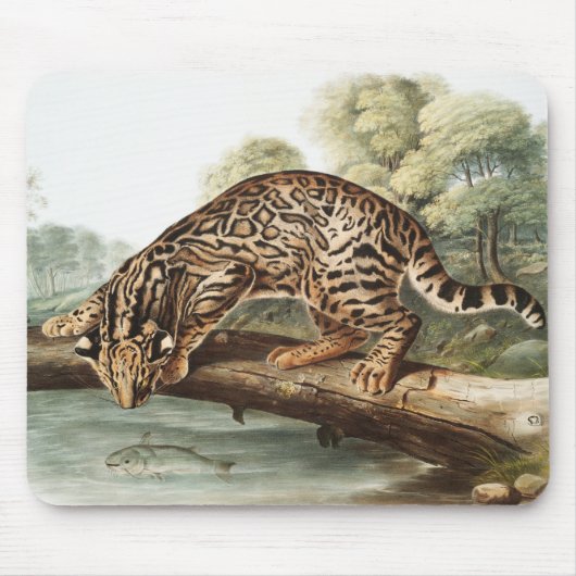 Ocelot, Leopard Cat (Felis pardalis) Illustration Mousepad (Vorne)