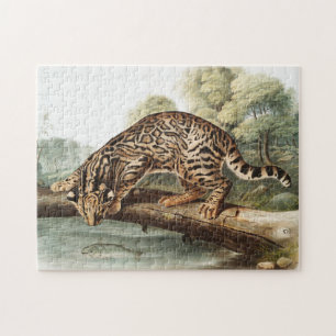 Ocelot, Leopard Cat (Felis pardalis) Illustration Puzzle