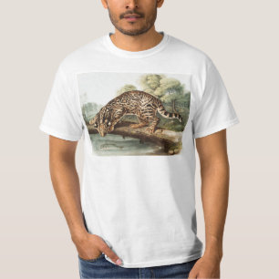 Ocelot, Leopard Cat (Felis pardalis) Illustration T-Shirt