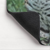OCELOT Leopardus pardalis) ZENTRALAMERIKA Mousepad (Ecke)