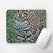 OCELOT Leopardus pardalis) ZENTRALAMERIKA Mousepad (Mit Mouse)