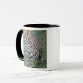 OCELOT Leopardus pardalis) ZENTRALAMERIKA Tasse (Vorderseite Links)