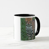 OCELOT Leopardus pardalis) ZENTRALAMERIKA Tasse (VorderseiteRechts)