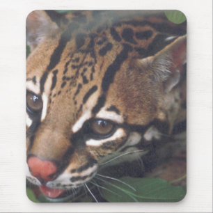 OCELOT MOUSEPAD