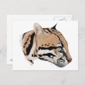 Ocelot Portrait Postkarte (Vorne/Hinten)