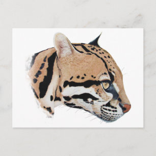 Ocelot Portrait Postkarte