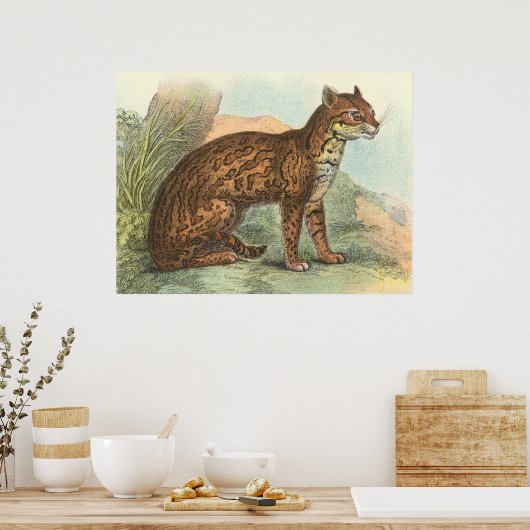 Ocelot Poster (Küche)