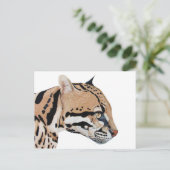 Ocelot Postkarte (Stehend Vorderseite)