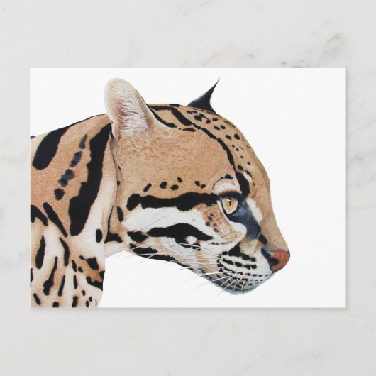 Ocelot Postkarte (Vorderseite)