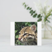 Ocelot Postkarte (Stehend Vorderseite)