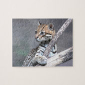 Ocelot Puzzle (Horizontal)