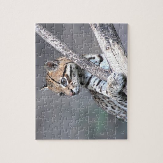 Ocelot Puzzle (Vertikal)