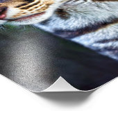 Ocelot - Wild Mini Jaguar Fotodruck (Ecke)