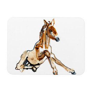 Ochre Foal Magnet