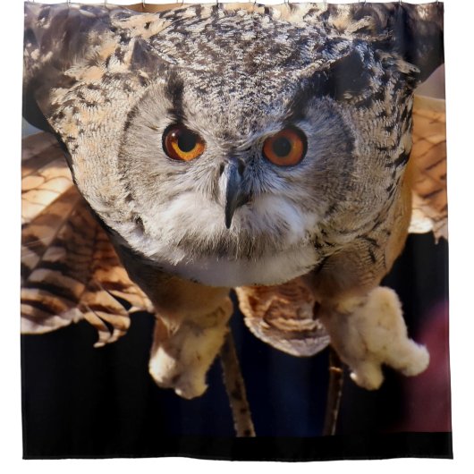 Ochse Duschvorhang (Vorderseite)