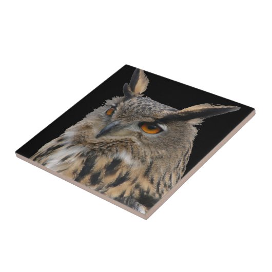 Ochse Fliese (Seite)