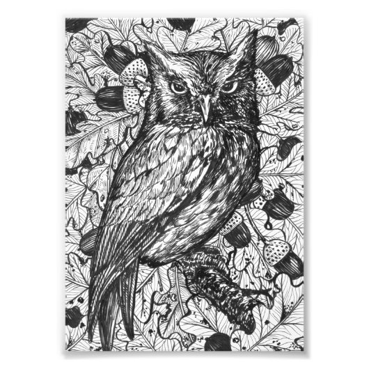 Ochse Fotodruck (Vorne)