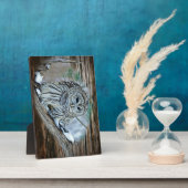 Ochse Fotoplatte (Seite)