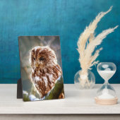 Ochse Fotoplatte (Seite)