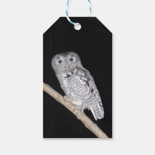 Ochse Geschenkanhänger (Vorderseite)